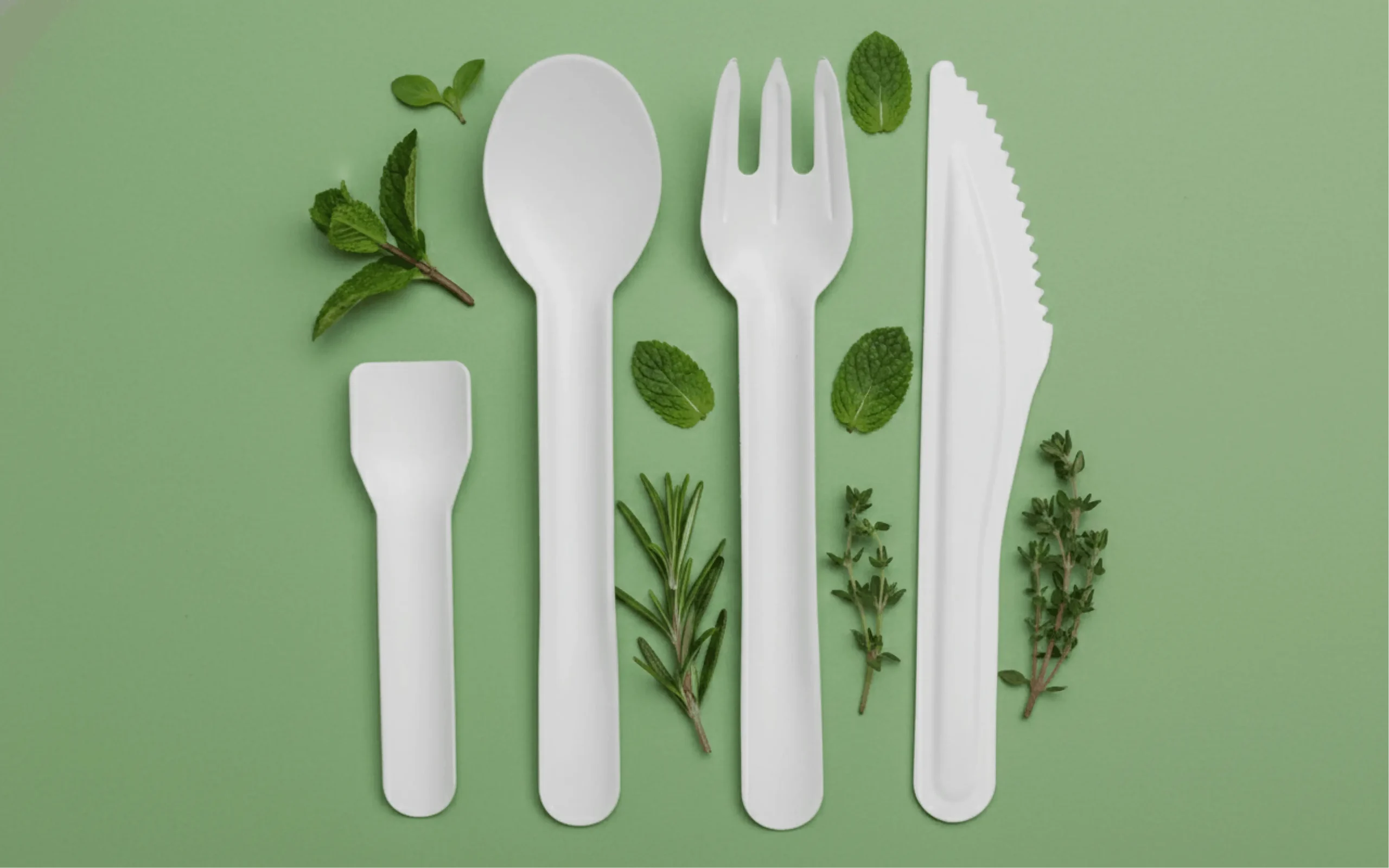 Single-Use Plastic Ban in India